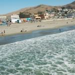 cambriaDR_0246 (November 02, 2019)